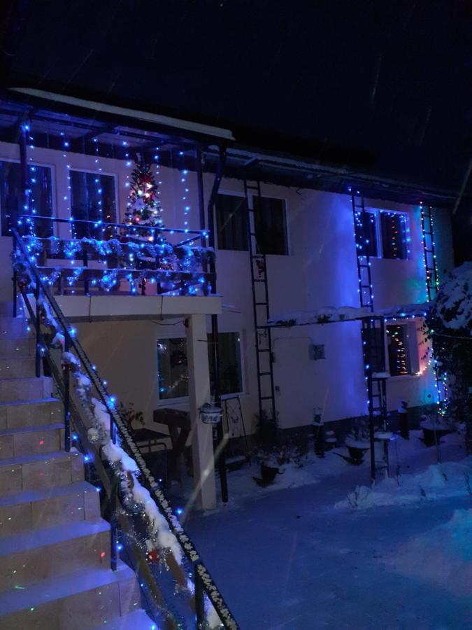 Casa Bradul Verde Bran  Exteriör bild