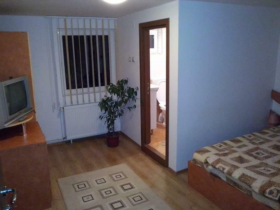 Casa Bradul Verde Bran  Exteriör bild