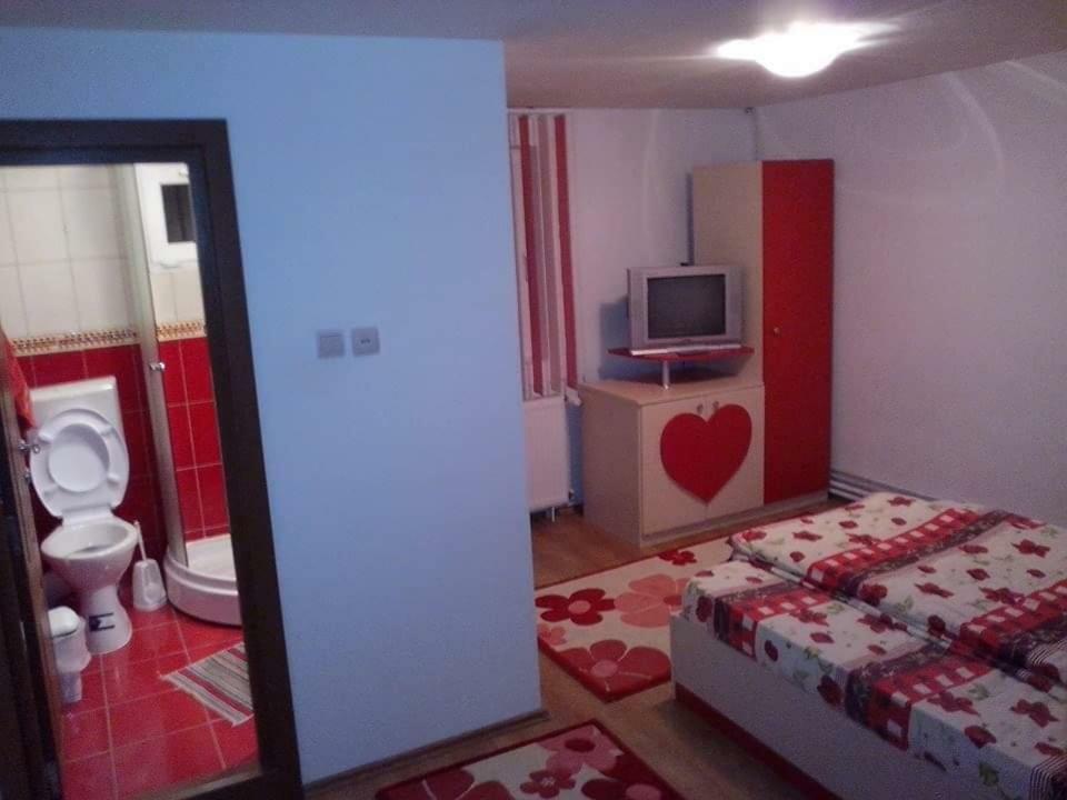 Casa Bradul Verde Bran  Exteriör bild