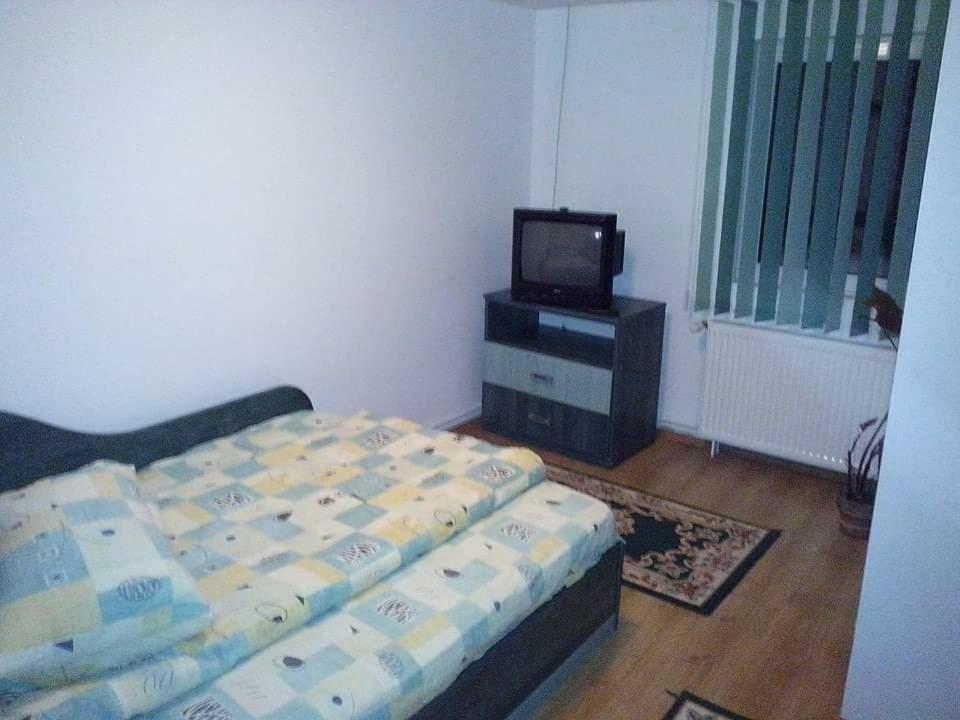 Casa Bradul Verde Bran  Exteriör bild