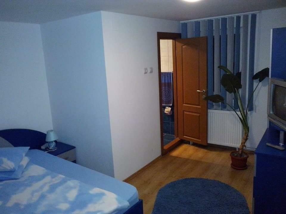 Casa Bradul Verde Bran  Exteriör bild