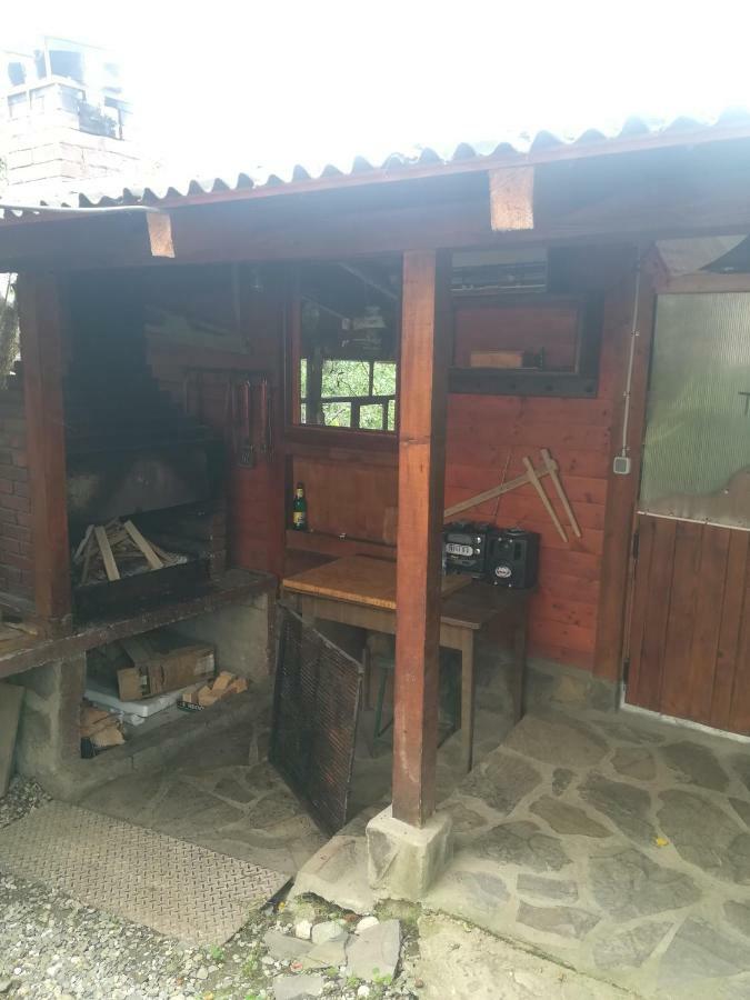 Casa Bradul Verde Bran  Exteriör bild