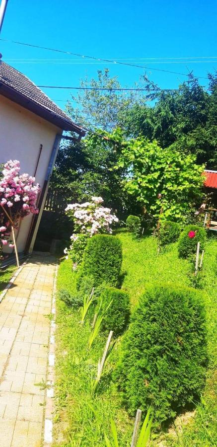 Casa Bradul Verde Bran  Exteriör bild
