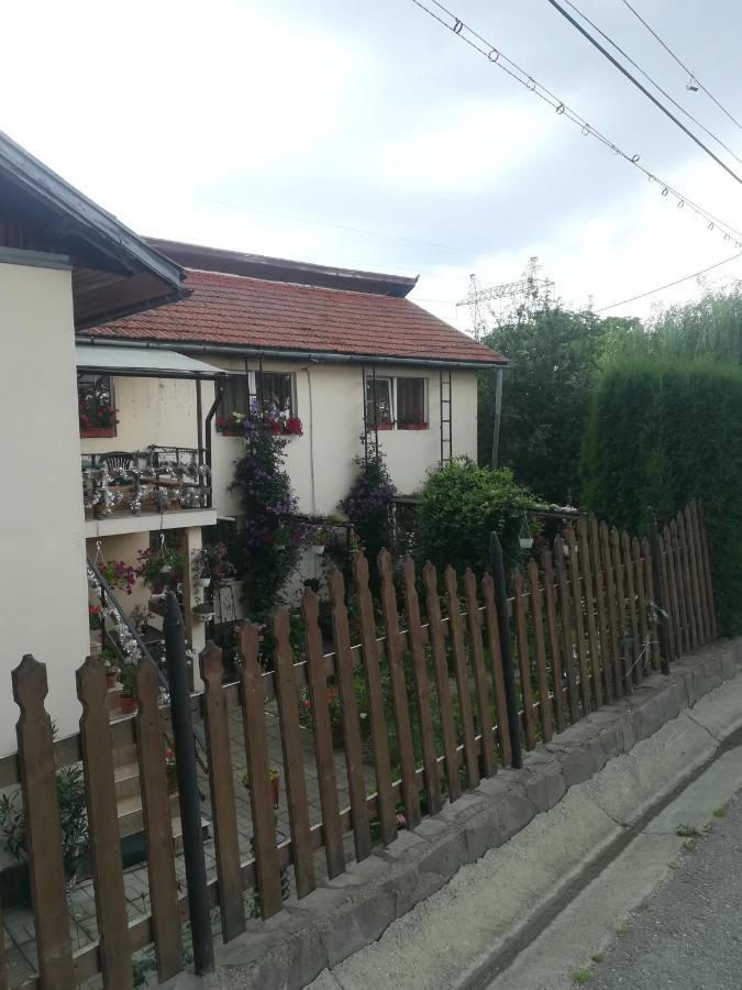 Casa Bradul Verde Bran  Exteriör bild