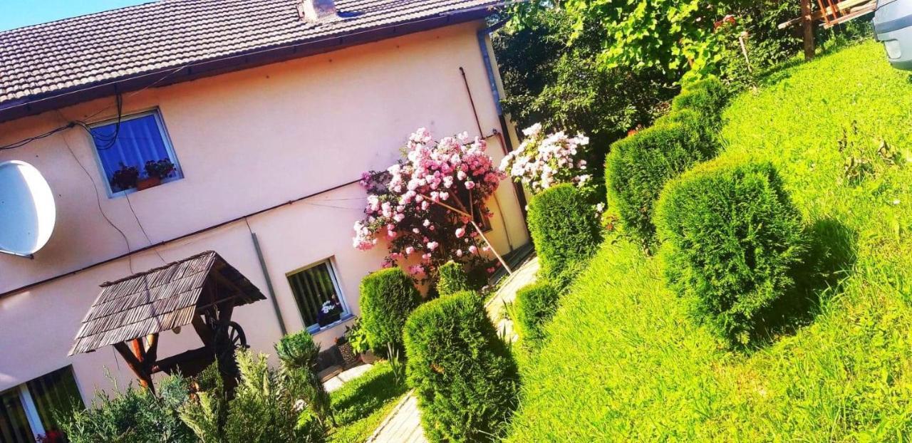 Casa Bradul Verde Bran  Exteriör bild