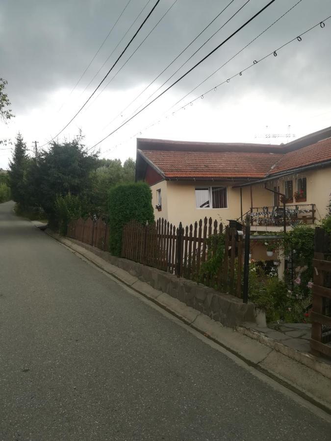 Casa Bradul Verde Bran  Exteriör bild